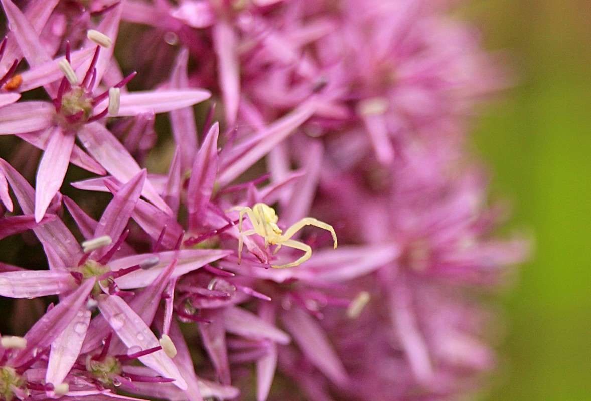 ��� ��� ����� ����� �����  �� PhotoGeek.ru #�������� ��� #����� ��� ��� ���������