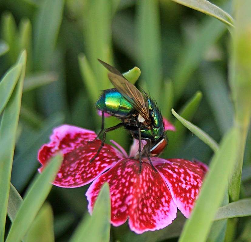 �������� ��� ����� ����� �����  �� PhotoGeek.ru #�������� ��� #������ ��� ������� #����� ��������������