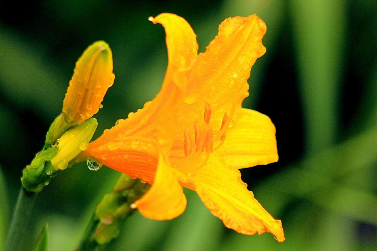 �������� ����� ���� ����� �����  �� PhotoGeek.ru #������ ��� ������� #����� ��������������