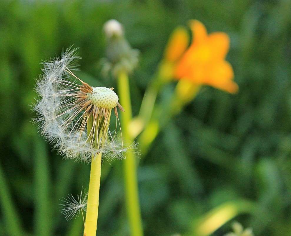 ... ����� �����  �� PhotoGeek.ru #������ ��� ������� #����� ��������������