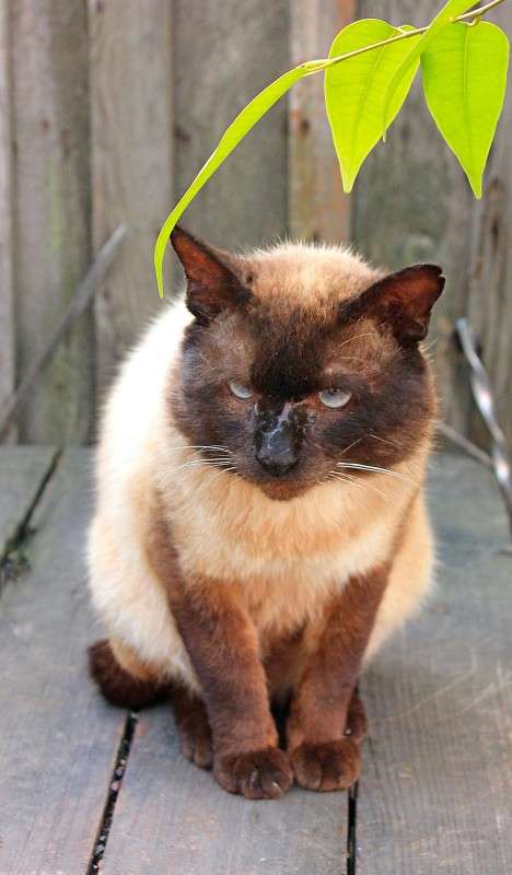 ���������  ����� ����� �����  �� PhotoGeek.ru #�������� ��� #�������