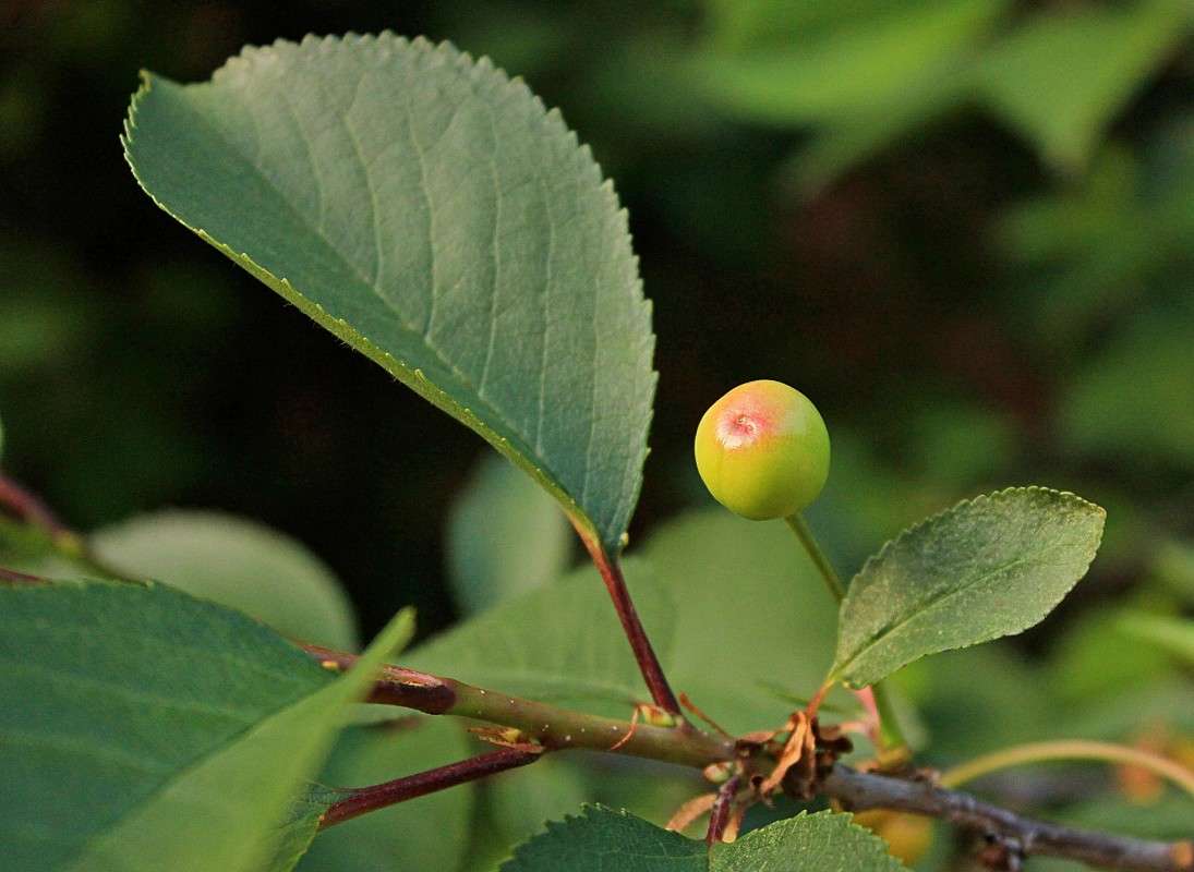 �������� ����� ����� �����  �� PhotoGeek.ru #������ ��� ������� #����� ��������������