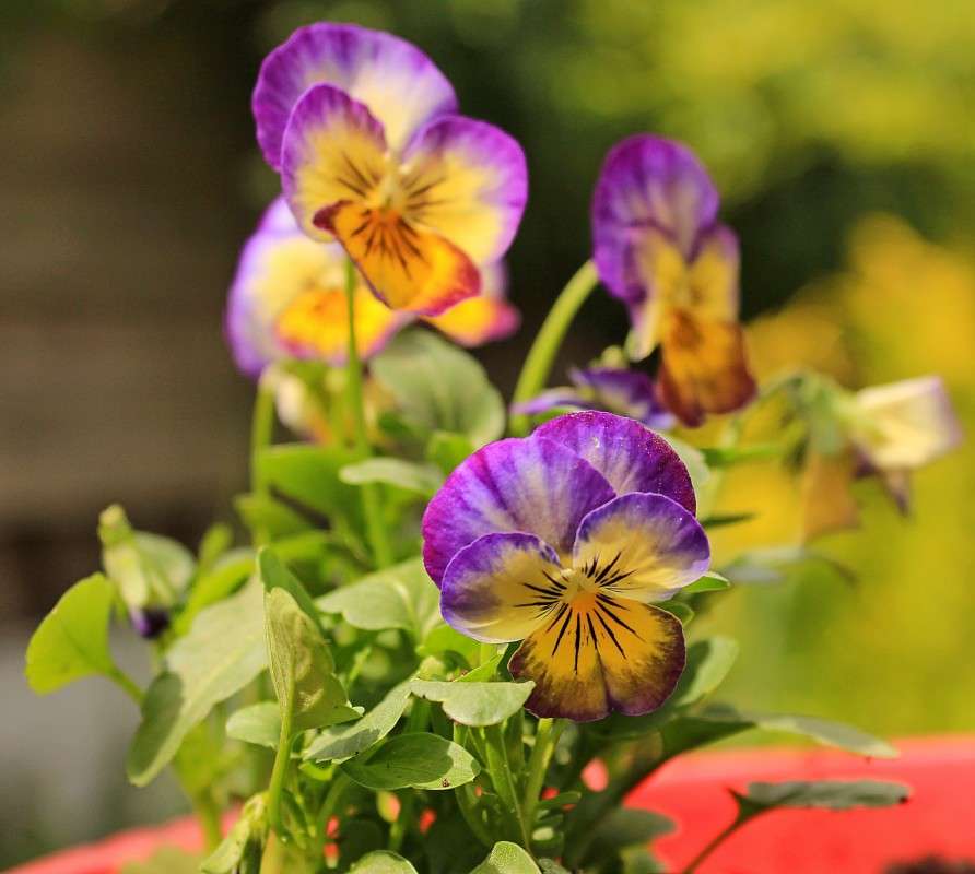 ������ ����� �����  �� PhotoGeek.ru #������ ��� ������� #����� ��������������