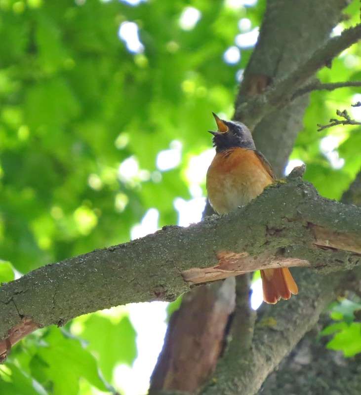 ����� ����� �����  �� PhotoGeek.ru #�������� ��� #����� ��� ��� ���������