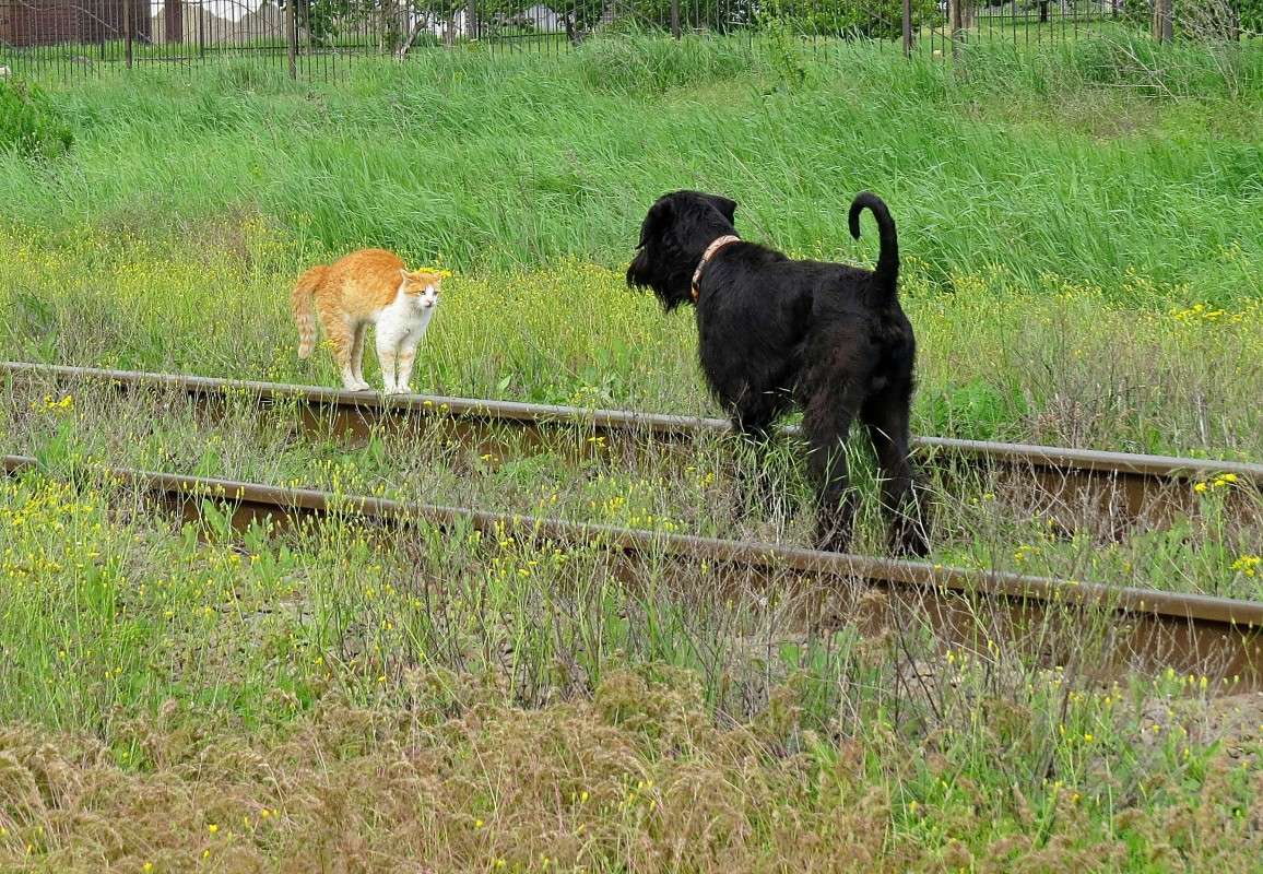 ����������� �������) ����� �����  �� PhotoGeek.ru #�������� ���