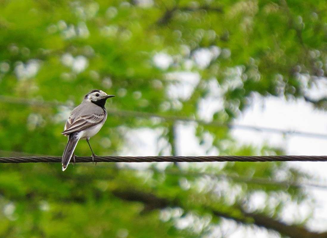 ��� �� �������? ����� �����  �� PhotoGeek.ru #�������� ��� #����� ��� ��� ���������