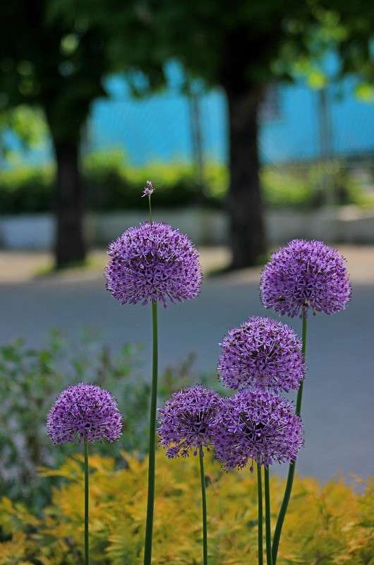 ... ����� �����  �� PhotoGeek.ru #������ ��� ������� #����� ��������������