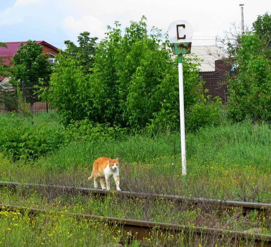 � � �� ������,����� �� ������ ��� ����� �� �������� ����� �����  �� PhotoGeek.ru #�������� ���