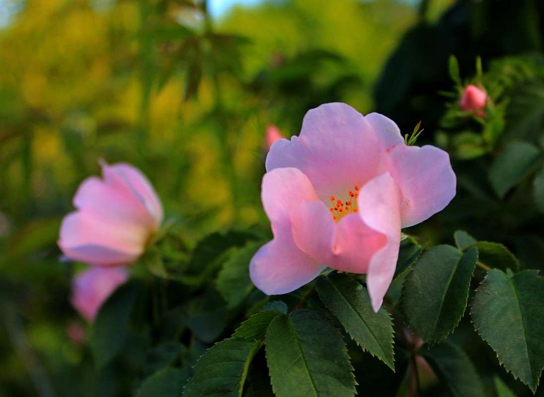 ����-������������� ����� �����  �� PhotoGeek.ru #������ ��� ������� #����� ��������������