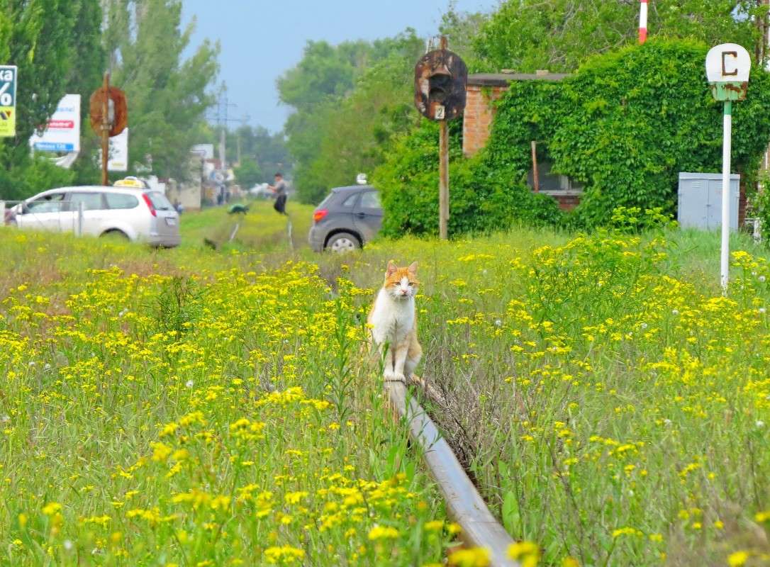 ����� ������� - �����������! ����� �����  �� PhotoGeek.ru #�������� ��� #����� ��� ��� ��������� #�������� ���