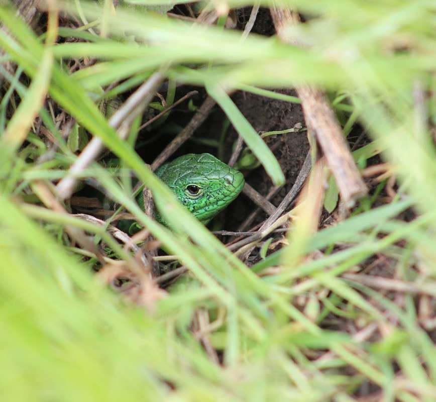 ׸ ����? ����� �����  �� PhotoGeek.ru #�������� ��� #������ ��� ������� #����� ��� ��� ��������� #����� ��������