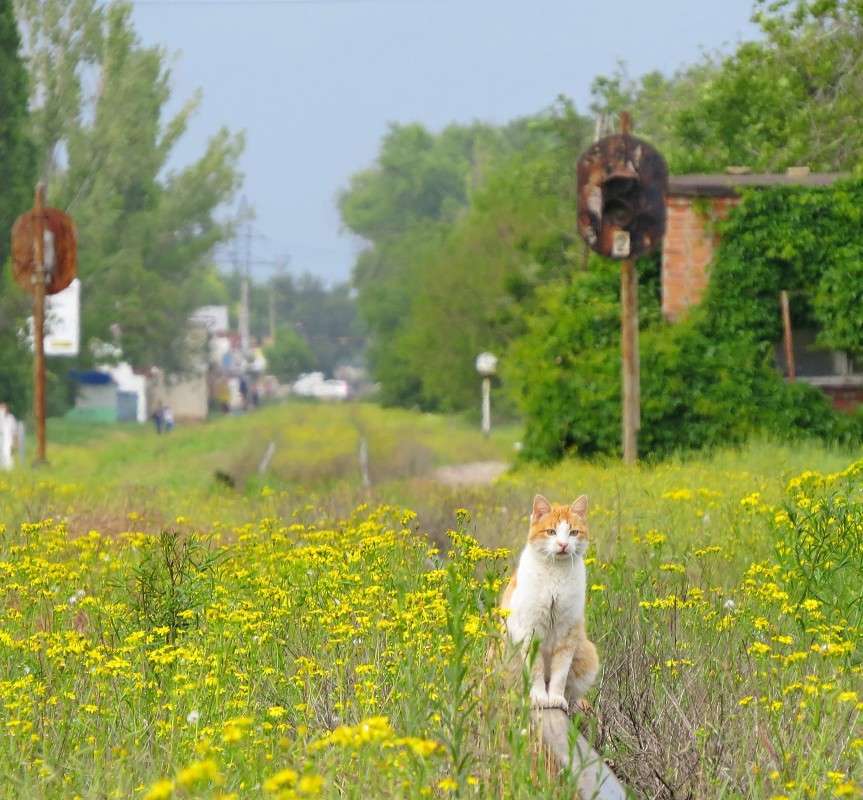 ������� 2 ����� �����  �� PhotoGeek.ru #�������� ��� #������ ��� ������� #����� �������������� #����� ��������