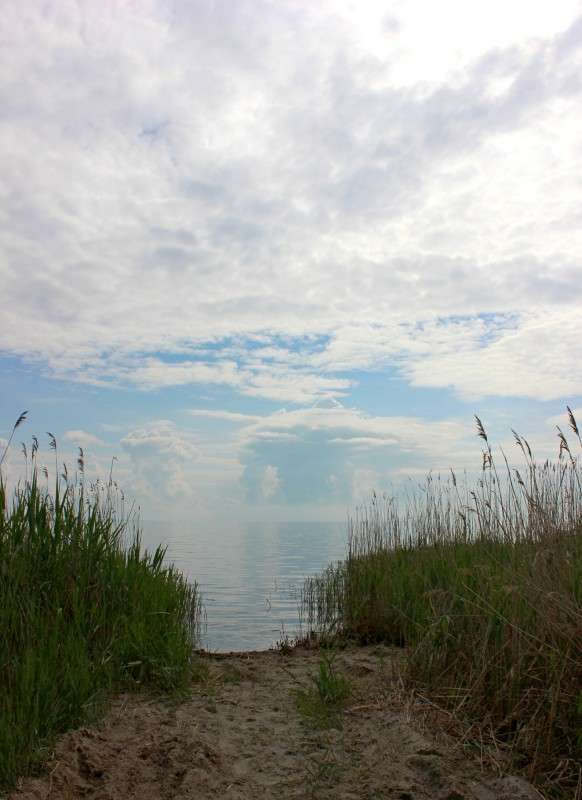 �������� � ���� ����� �����  �� PhotoGeek.ru #������ ��� ������� #����� �������������� #����� ��������