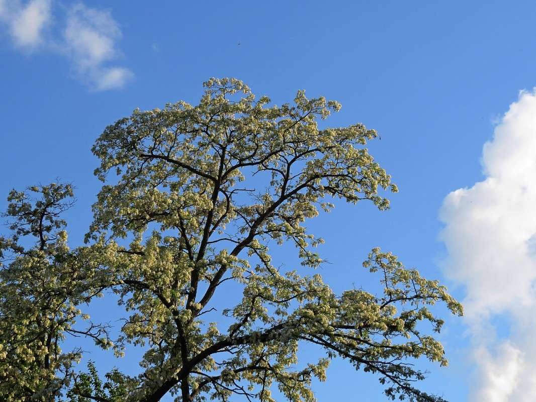 ������ ����� �����  �� PhotoGeek.ru #������ ��� ������� #����� ��������������