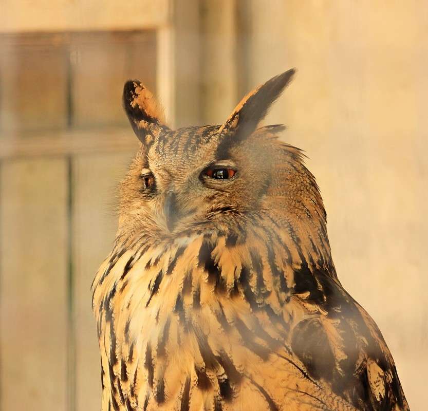 ������ �� ��� ���.. ����� �����  �� PhotoGeek.ru #�������� ���