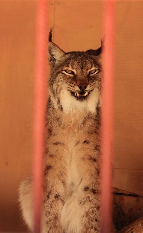 ��������� ��� ����� �����  �� PhotoGeek.ru #�������� ��� #������ ��� ������� #����� ��������