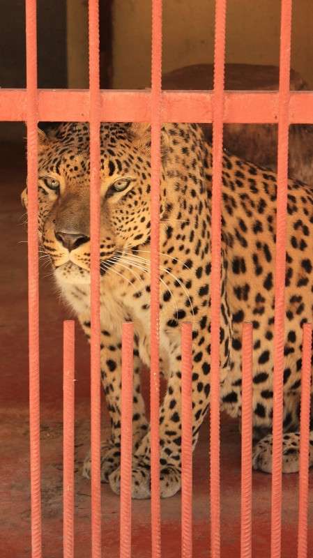 ... ����� �����  �� PhotoGeek.ru #�������� ���