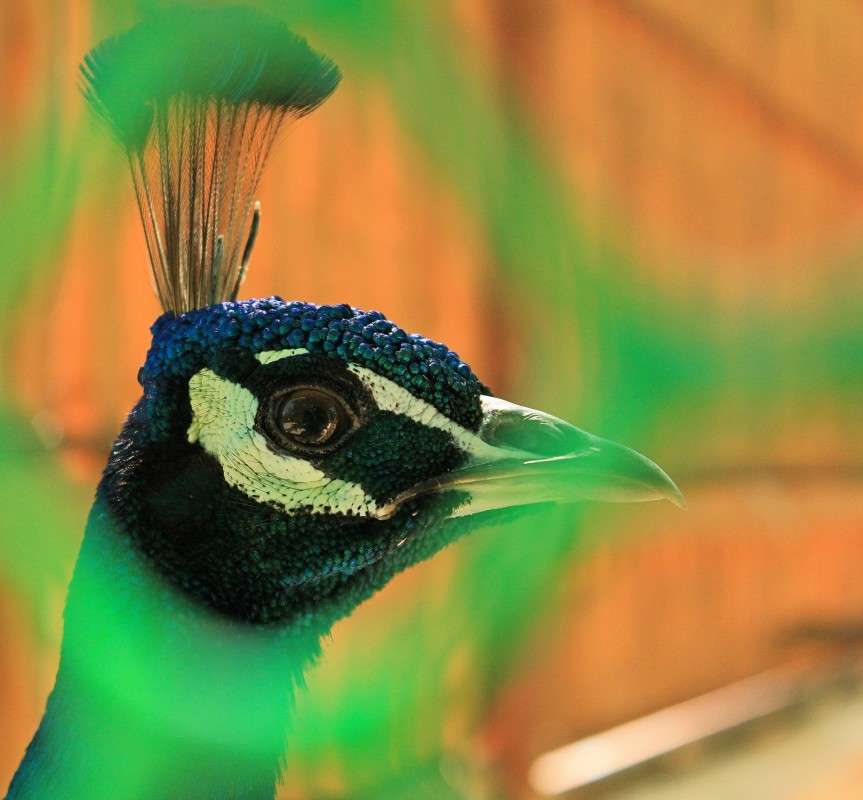 ������... ����� �����  �� PhotoGeek.ru #�������� ��� #�������