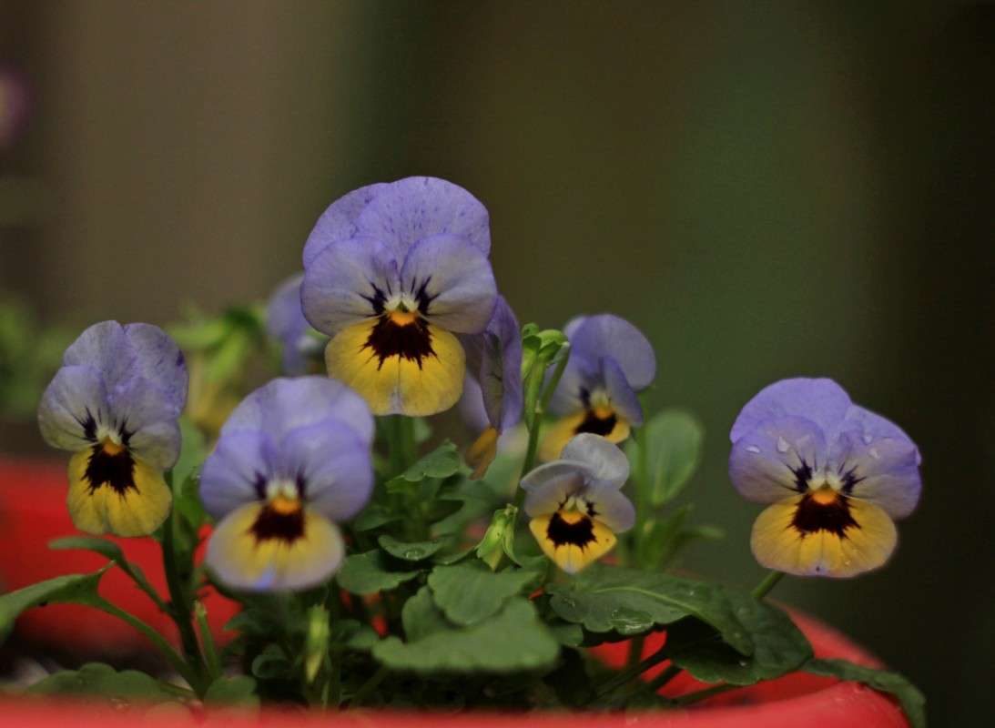 ������� ����� �����  �� PhotoGeek.ru #������ ��� ������� #����� ��������������