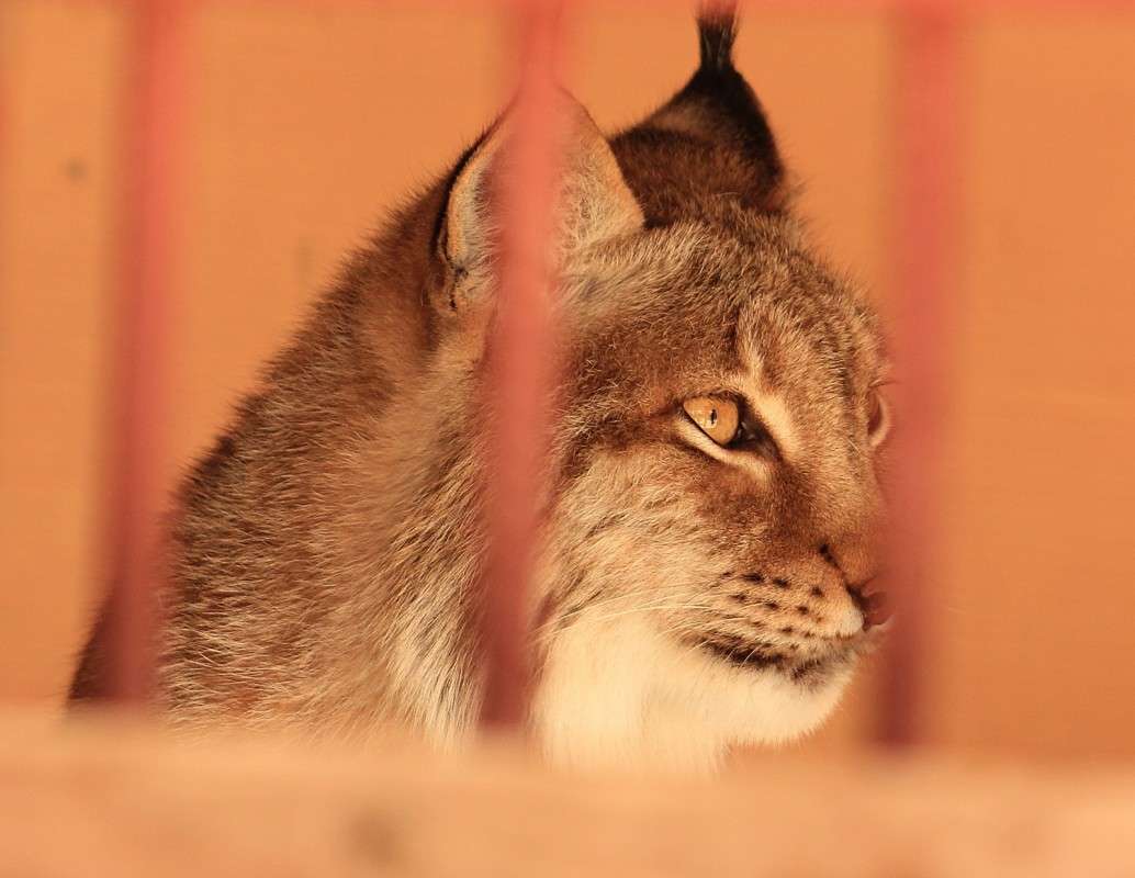 ������ 2 ((( ����� �����  �� PhotoGeek.ru #�������� ���