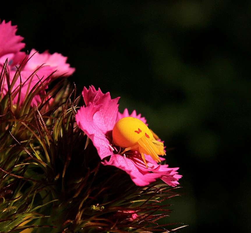 ������� ����� �����  �� PhotoGeek.ru #�������� ��� #������ ��� ������� #����� �������������� #��������� #����� ��������