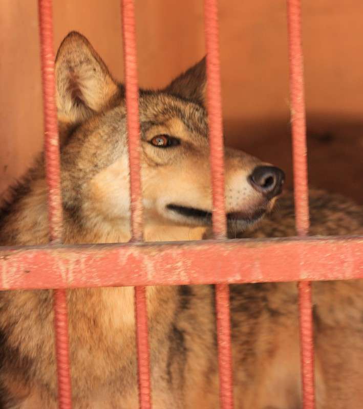 �� ���� ��... ����� �����  �� PhotoGeek.ru #�������� ��� #����� ��� ��� ���������