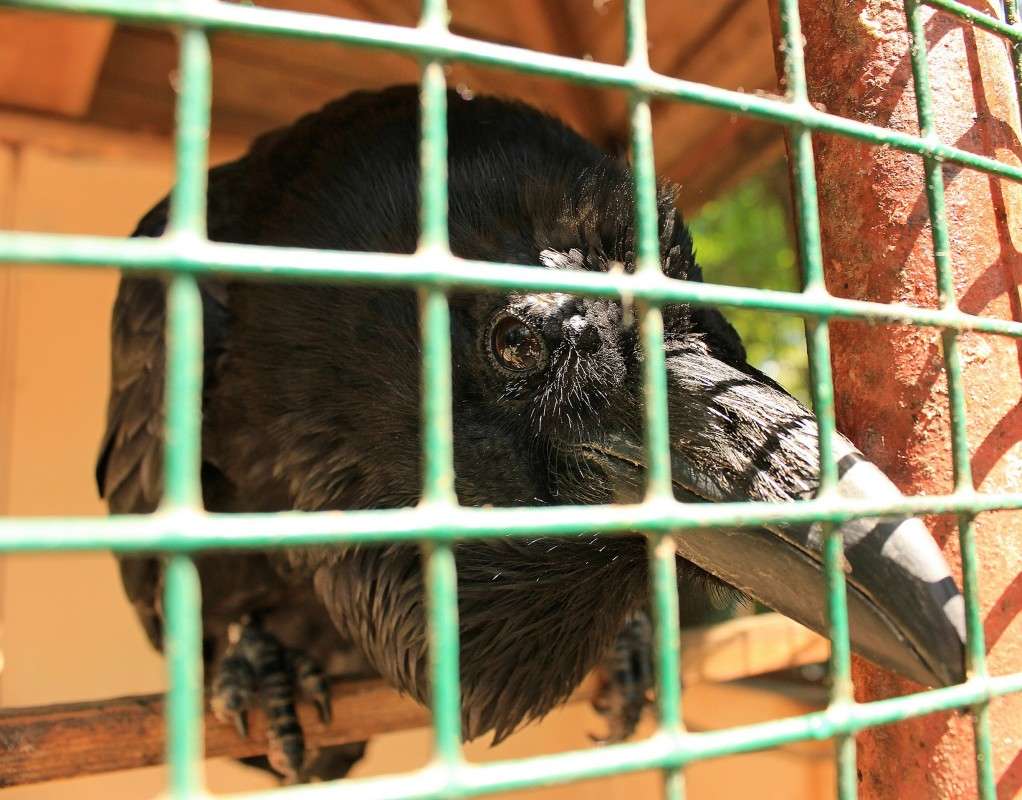 ( ����� �����  �� PhotoGeek.ru #�������� ���