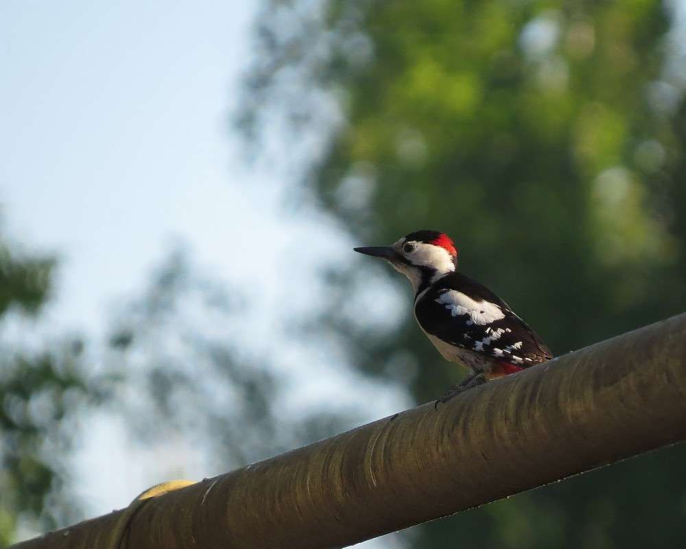 ����� ����� �����  �� PhotoGeek.ru #�������� ��� #����� ��� ��� ���������