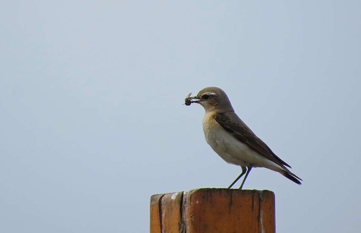 ������� ����� �����  �� PhotoGeek.ru #�������� ��� #����� ��� ��� ���������