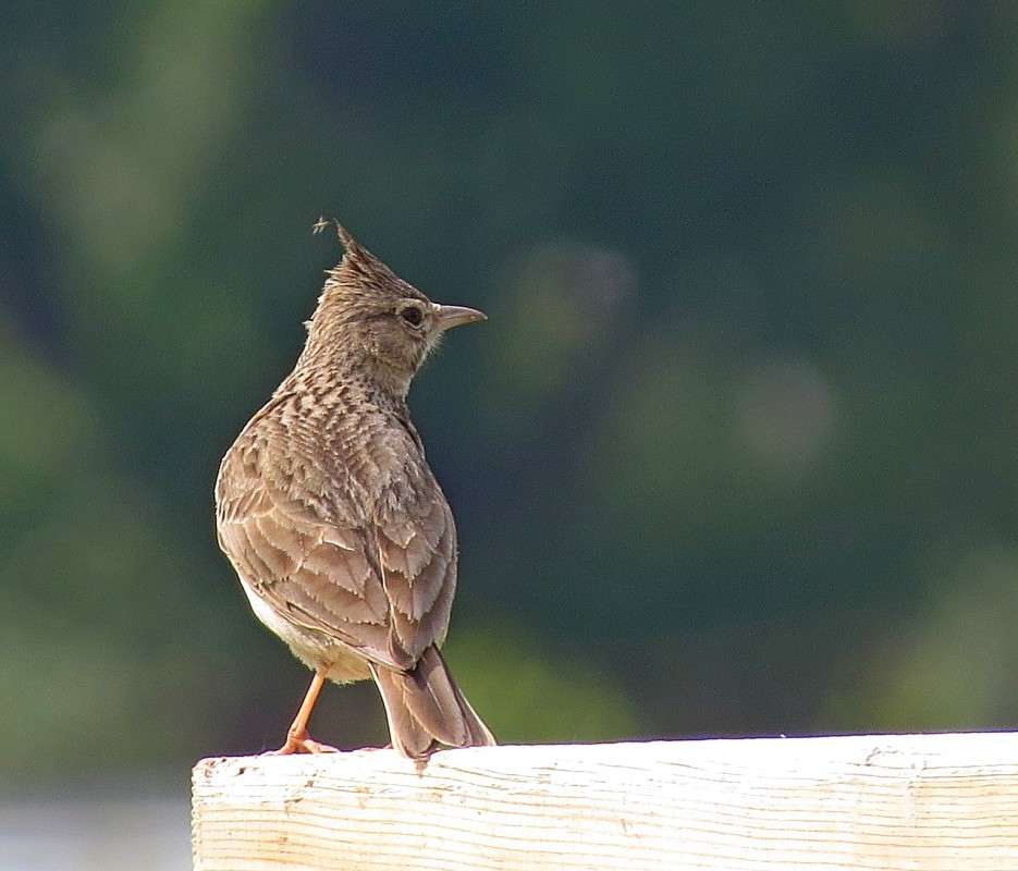 ��������� ����� �����  �� PhotoGeek.ru #�������� ��� #����� ��� ��� ���������