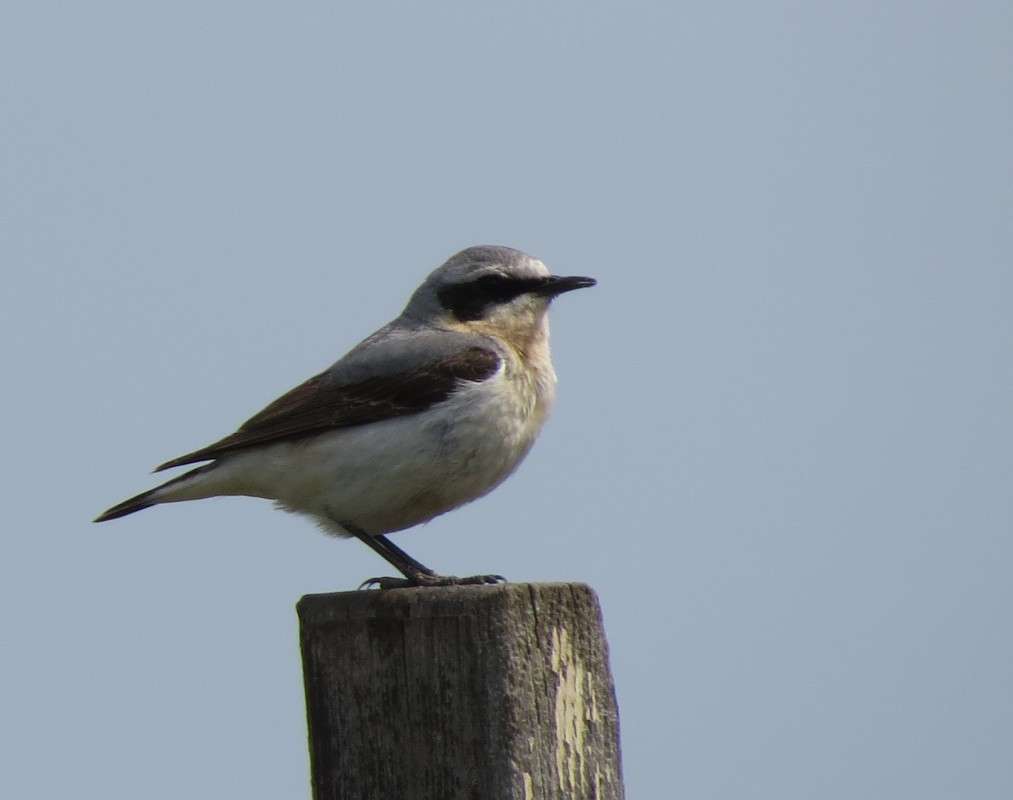 ������� ����� �����  �� PhotoGeek.ru #�������� ��� #����� ��� ��� ���������