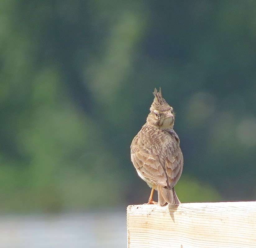 �� �� ��� ��������))) ����� �����  �� PhotoGeek.ru #�������� ���