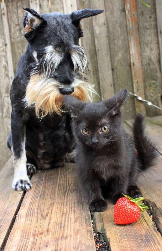 �� �������� ����� �����  �� PhotoGeek.ru #�������� ��� #������� #�������� ���