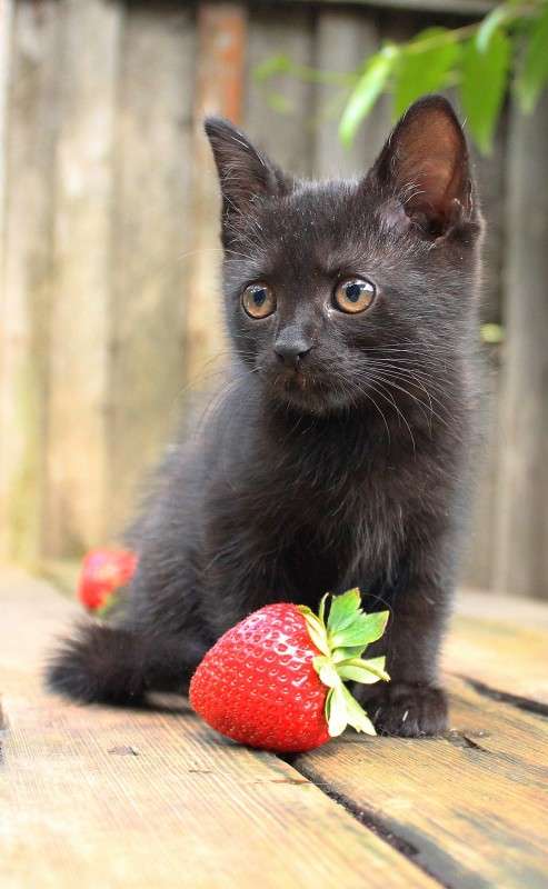 ��..)) ����� �����  �� PhotoGeek.ru #�������� ��� #�������