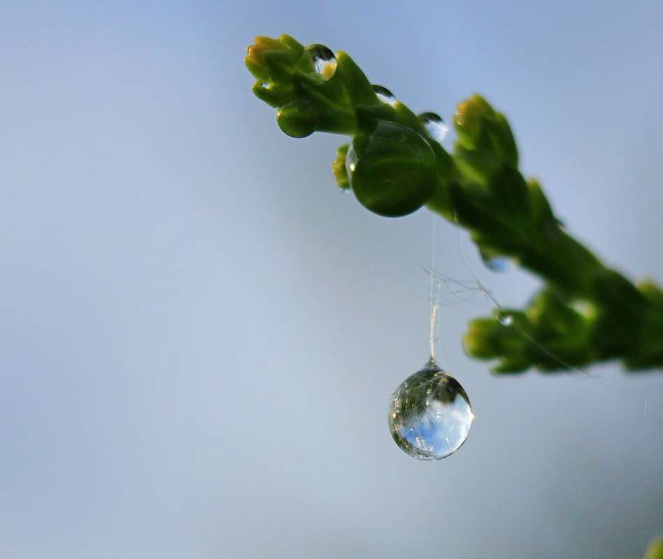 ��� �� ������� ����� �����  �� PhotoGeek.ru #����� #������ ��� ������� #����� �������������� #����� ��������