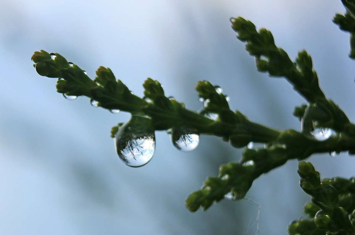 ����������� ����� �����  �� PhotoGeek.ru #����� #������ ��� ������� #����� ��������������