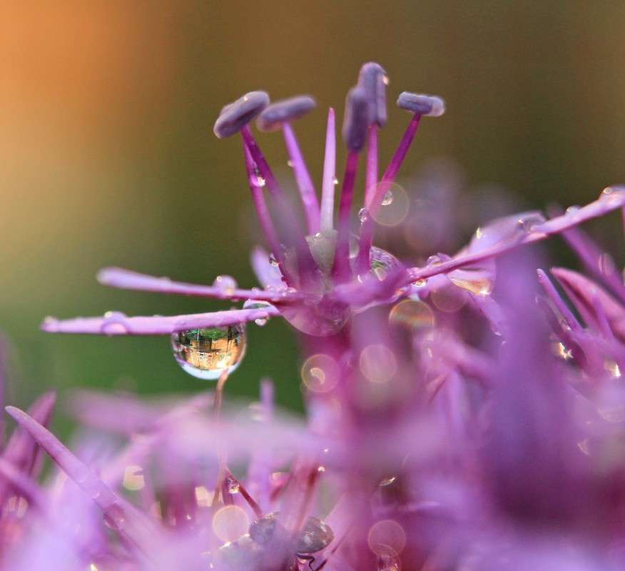 ��� � ����� ����� �����  �� PhotoGeek.ru #������ ��� ������� #����� �������������� #����� ��������