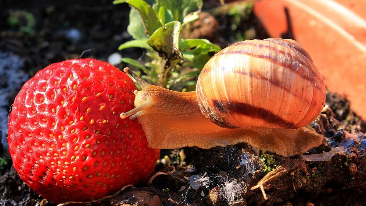 ��������� ����� �����  �� PhotoGeek.ru #�������� ���