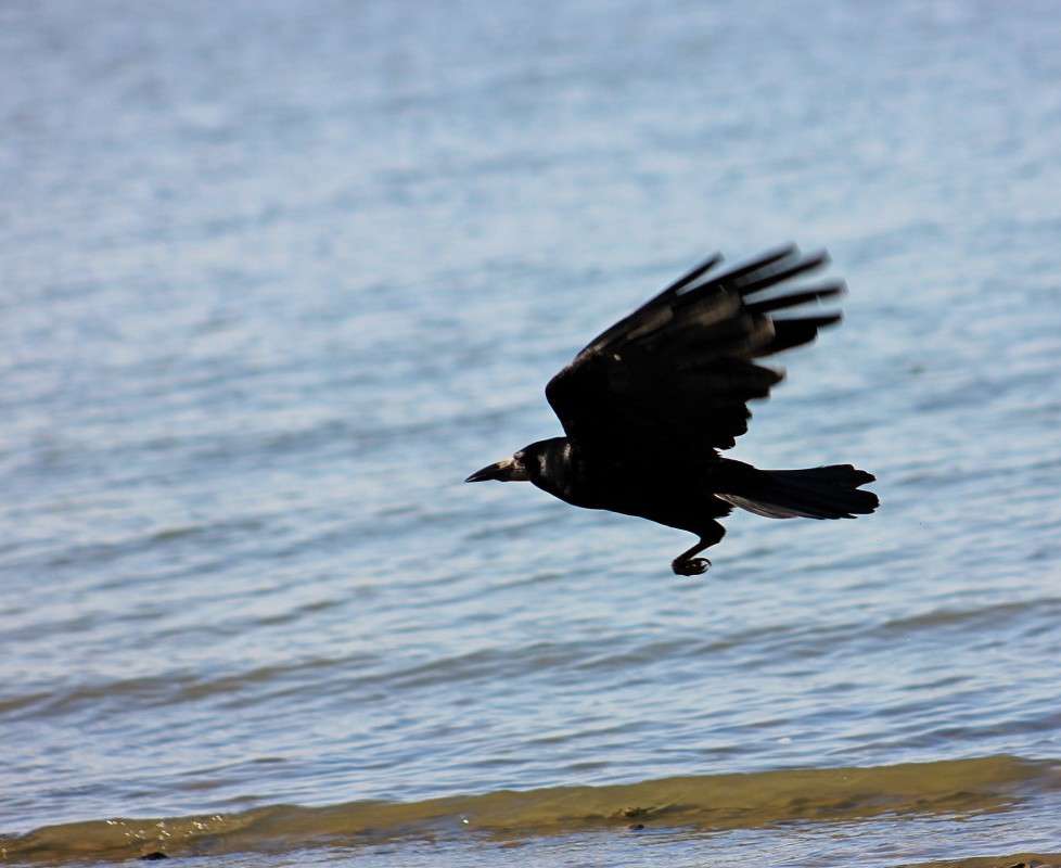 �� ������ ����� �����  �� PhotoGeek.ru #�������� ��� #����� ��� ��� ���������