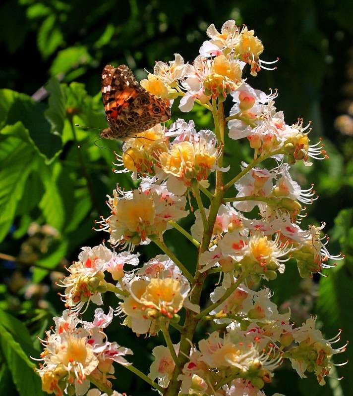 �������� ����� �����  �� PhotoGeek.ru #�������� ��� #������ ��� ������� #����� ��������������