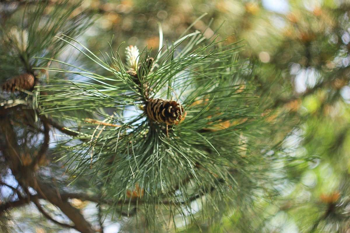 ���� ����� �����  �� PhotoGeek.ru #������ ��� ������� #����� ��������������