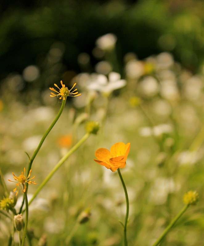 ������-�������� ����� �����  �� PhotoGeek.ru #������ ��� ������� #����� ��������������