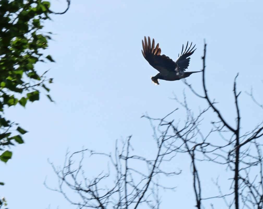 � �������)) ����� �����  �� PhotoGeek.ru #�������� ��� #����� ��� ��� ���������