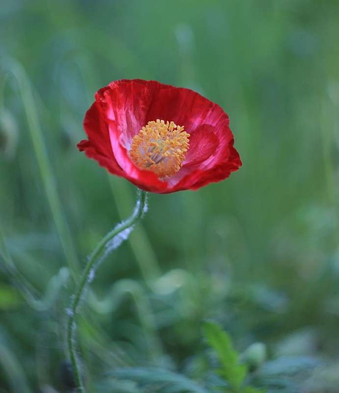 ��� ����� �����  �� PhotoGeek.ru #������ ��� ������� #����� ��������������