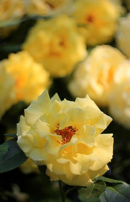 ���� ����� ����� �����  �� PhotoGeek.ru #������ ��� ������� #����� ��������������