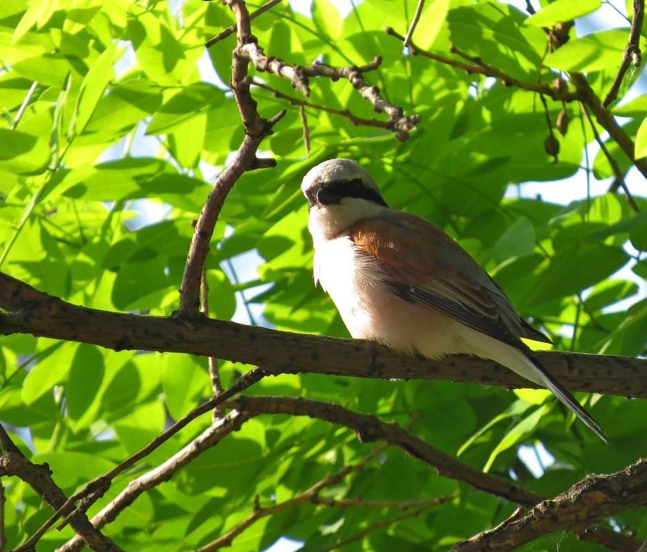 ���������-����� ����� �����  �� PhotoGeek.ru #�������� ��� #����� ��� ��� ���������