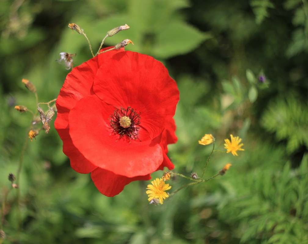 �������� ������... ����� �����  �� PhotoGeek.ru #������ ��� ������� #����� ��������������