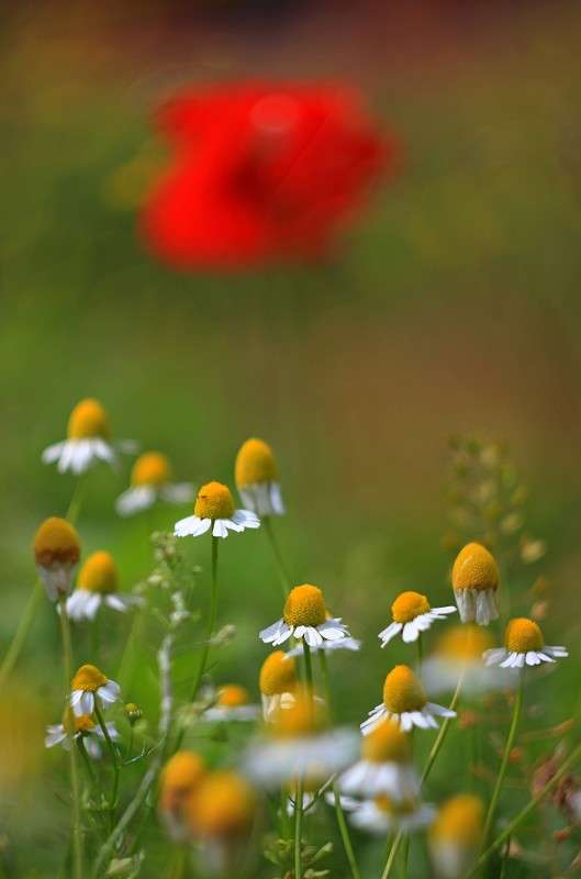 �� ���� ���� ����� �����  �� PhotoGeek.ru #������ ��� ������� #����� ��������������