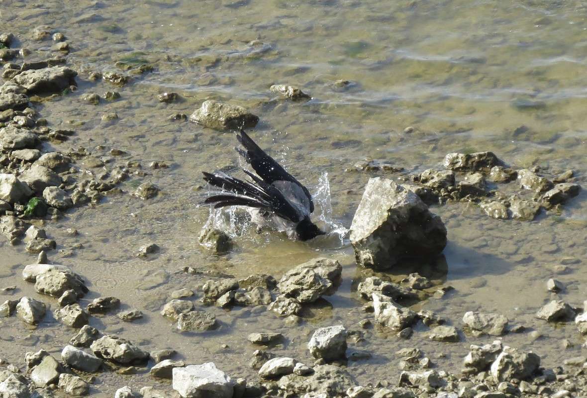 ����������)))) ����� �����  �� PhotoGeek.ru #�������� ��� #����� ��� ��� ���������