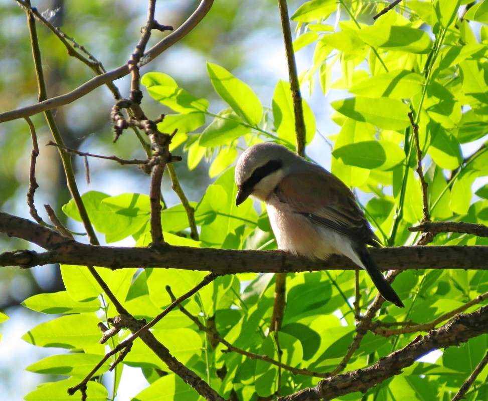 ������������( ����� �����  �� PhotoGeek.ru #�������� ��� #����� ��� ��� ���������